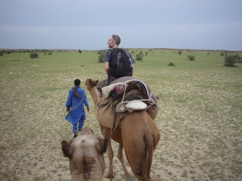 Travel - India - Rajasthan - Desert Camel Trip - Camel Safari